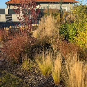 Zahradnictví Šrámek návrhy a realizace zahrad