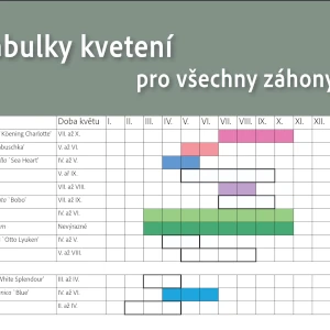 Zahradnictví Šrámek ukázkový projekt