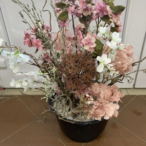 Zahradnictví Šrámek pokojové rostliny