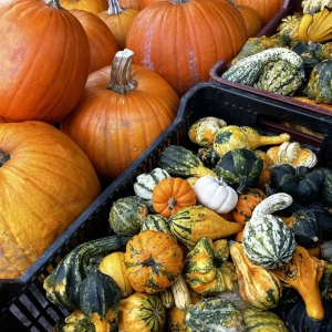 Zahradnictví Šrámek sezónní zboží